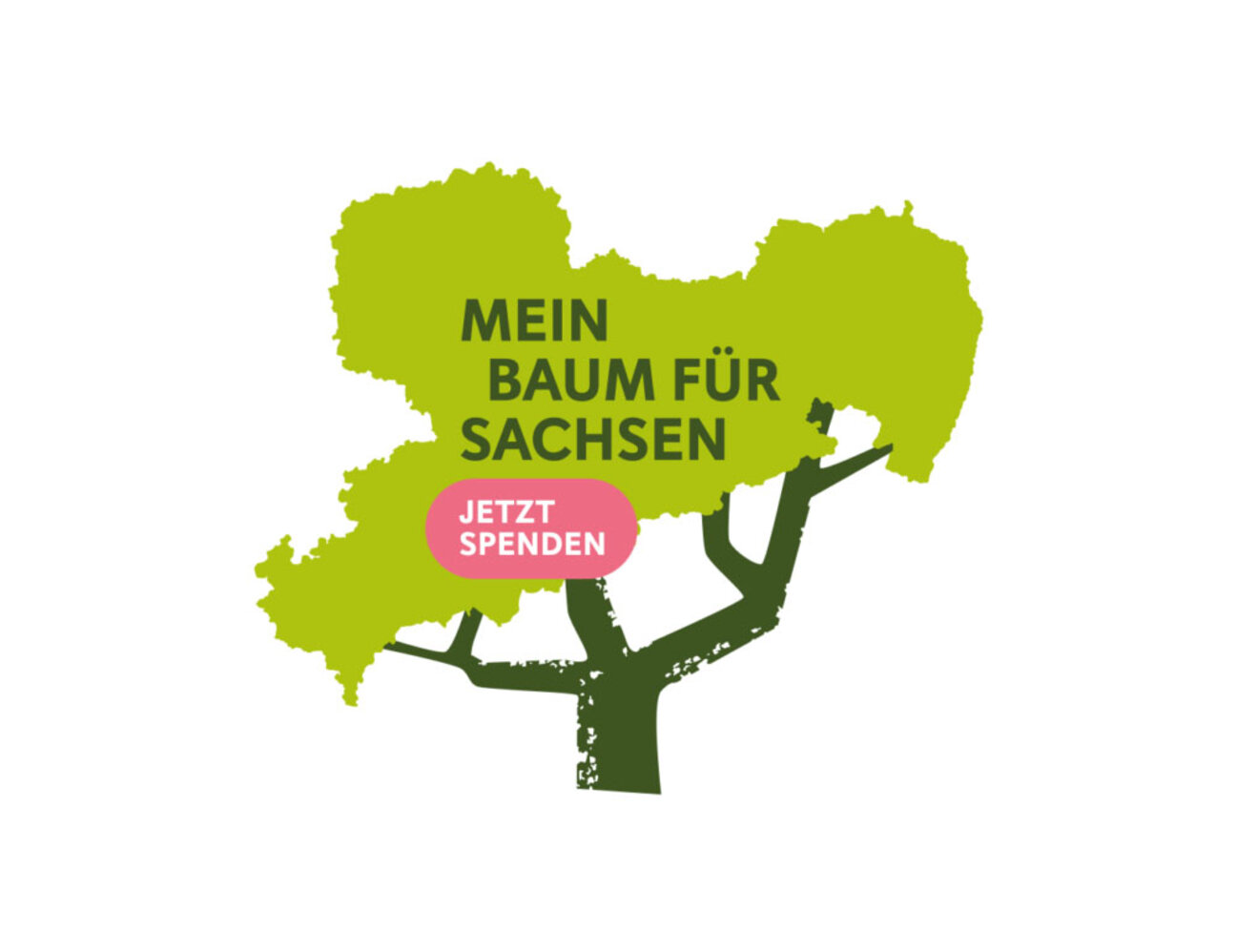 Business_Kooperation_mehr-wald-fuer-sachsen