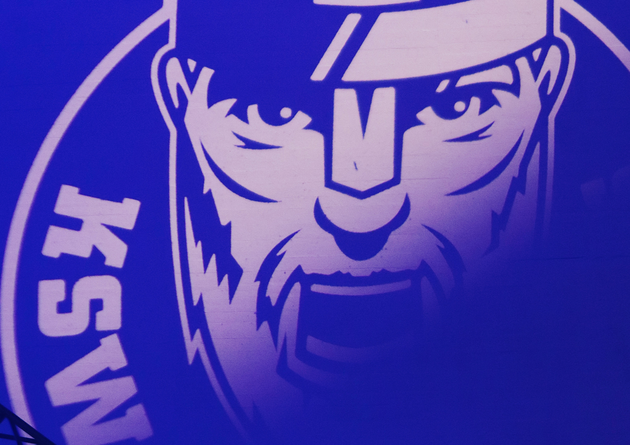 Logo Icefighters